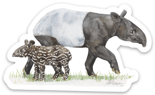 Malayan Tapir with Baby Sticker • 80mm